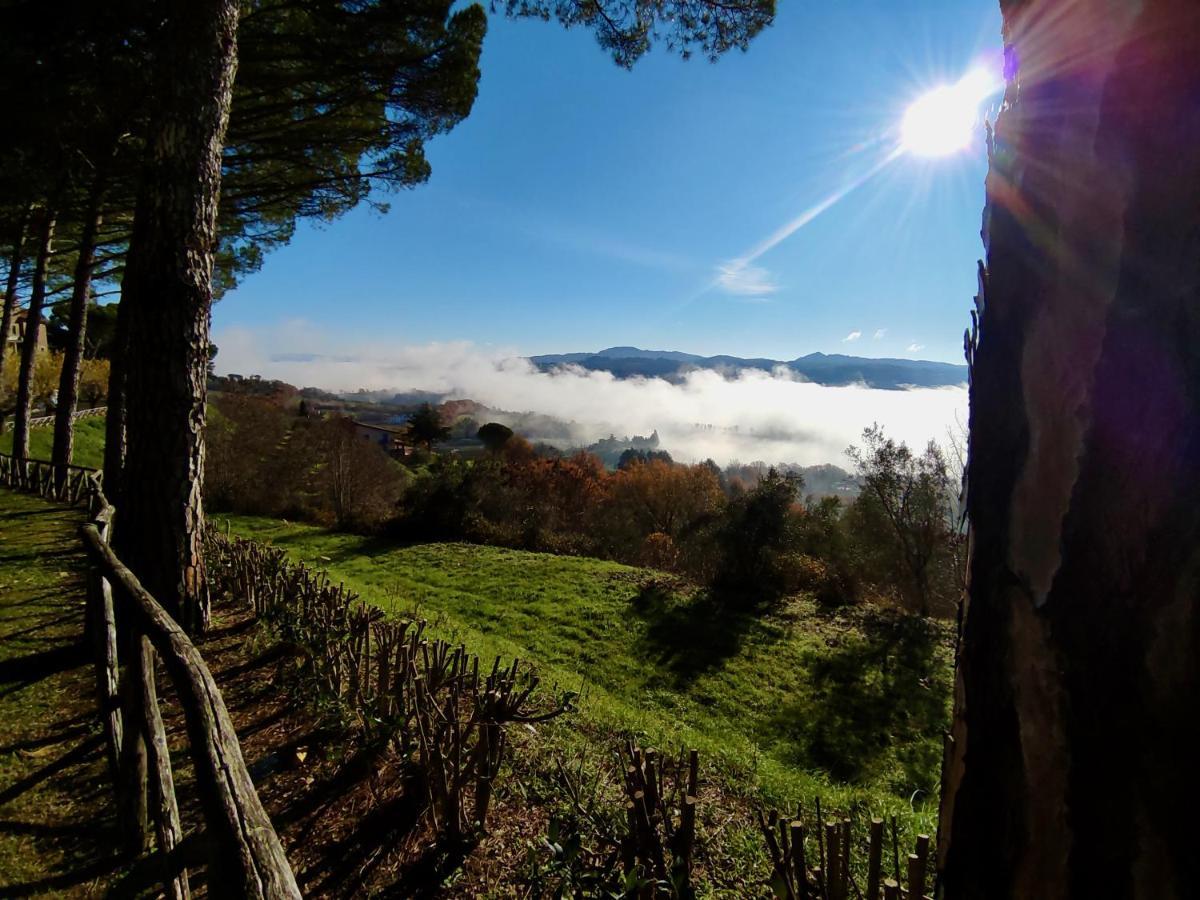 Fonte Degna - Alloggio E Sito Storico Vila Citerna Exterior foto