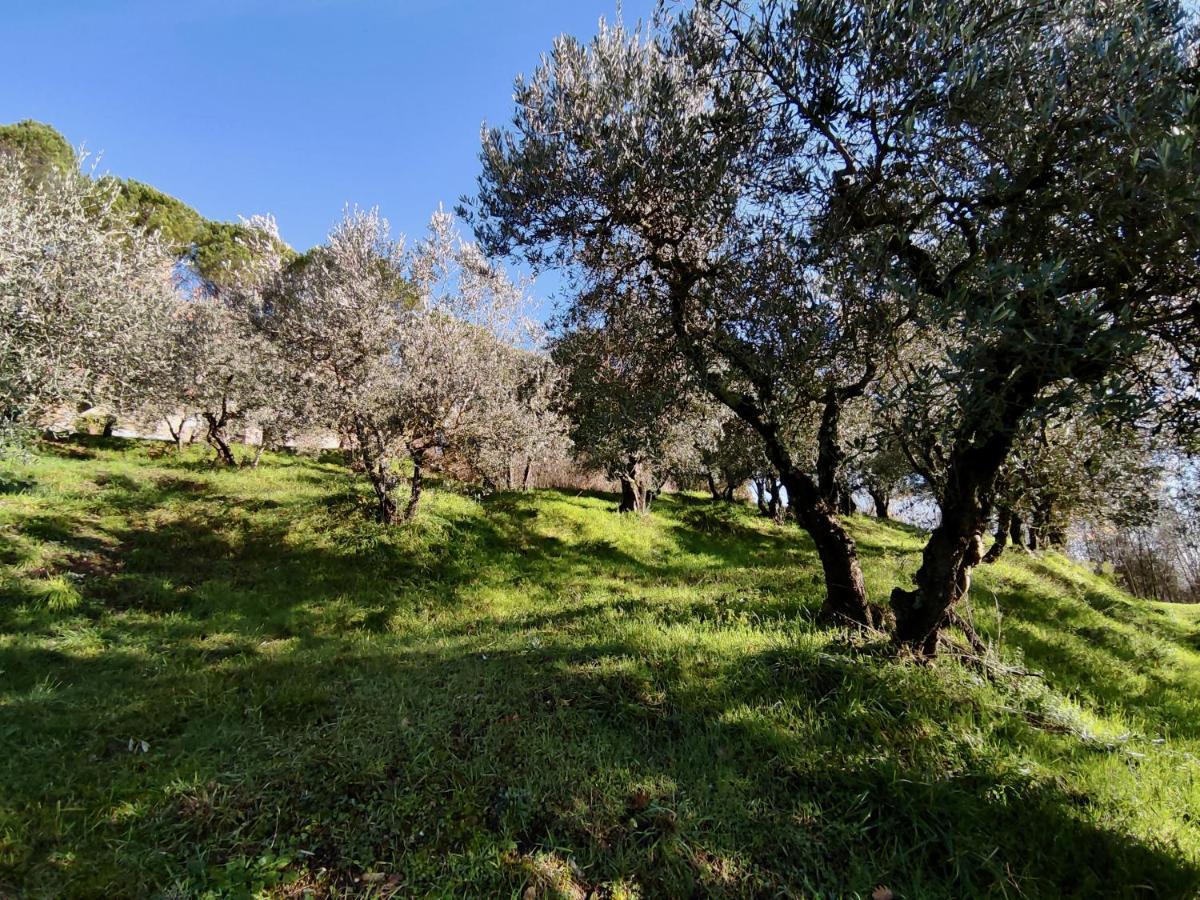 Fonte Degna - Alloggio E Sito Storico Vila Citerna Exterior foto