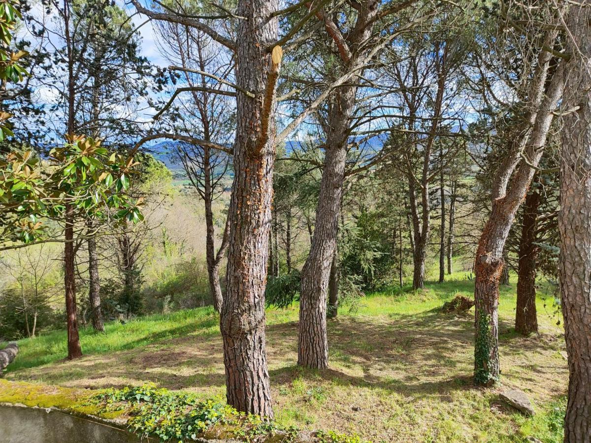 Fonte Degna - Alloggio E Sito Storico Vila Citerna Exterior foto